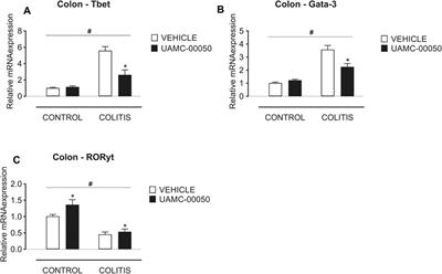 The Effect of a Novel Serine Protease Inhibitor on Inflammation and Intestinal Permeability in a Murine Colitis Transfer Model